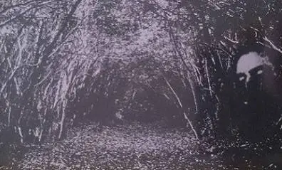 Demstervold : Den Svartne Spökerii